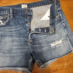 Citizens of humanity Corey shorts